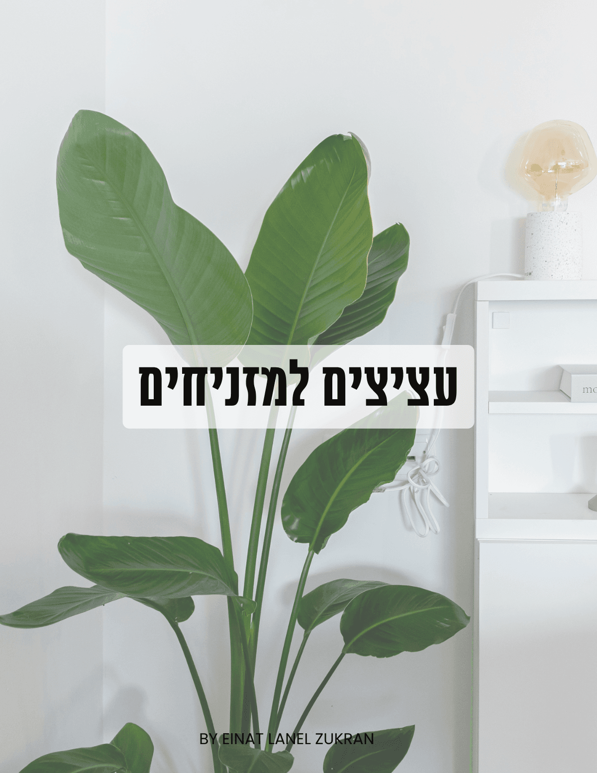 כריכת הרשימה עציצים למזניחים מאת עינת לנל צוקרן